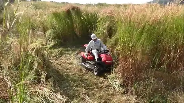 Atex AR800A Ride On Mower